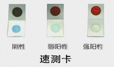 便攜式農藥殘留速測儀 (3).jpg