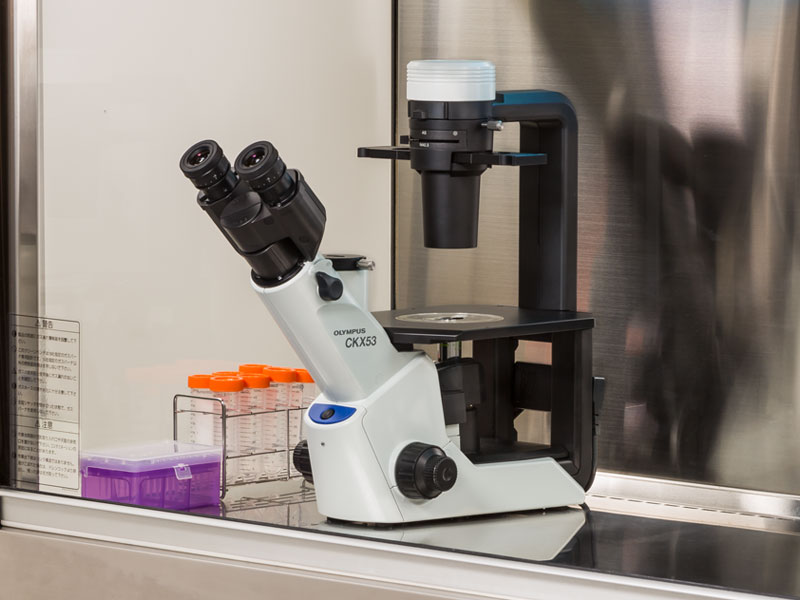 1633658401165543.jpg CKX53倒置顯微鏡 (3).jpg