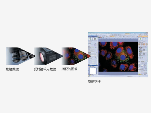 1633669863594656.jpg 通過編碼裝置保存顯微鏡數據.jpg