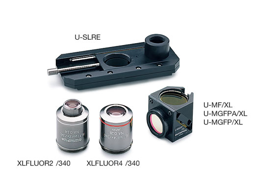 宏觀鏡頭和熒光激發(fā)鏡組.jpg