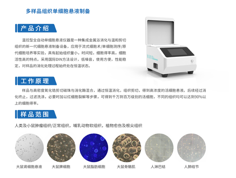 1642492752445465.jpg 4-2.jpg