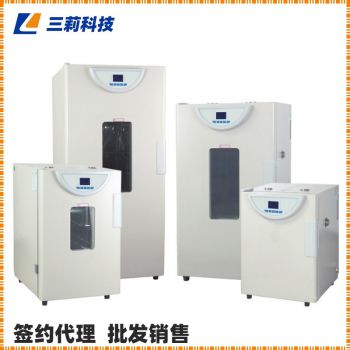 一恒精密鼓風干燥箱 BPG-9000系列控制鼓風烘箱-參數(shù),圖片